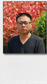 ������Ƭ